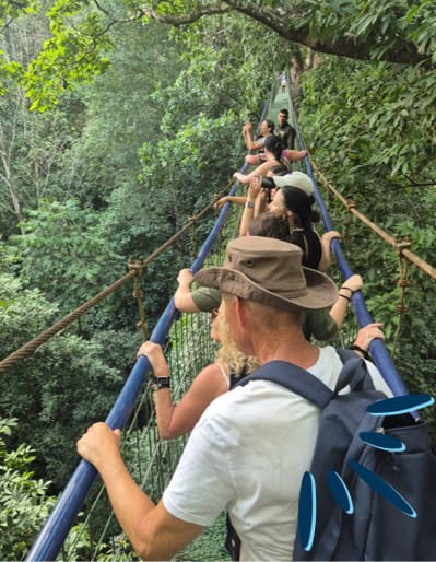 hanging bridges