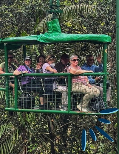 rainforest aerial tram